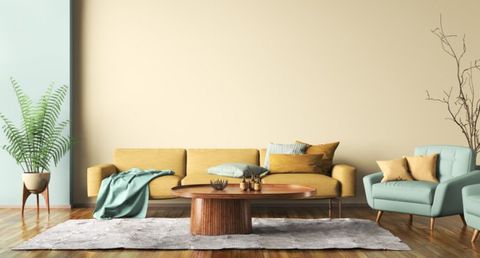 What Is Mindi Wood? (Furniture Uses & Durability) inside